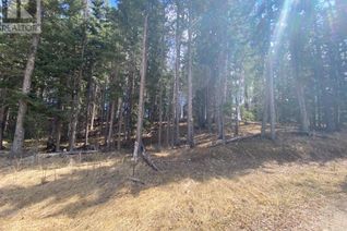 Commercial Land for Sale, 176 Wood Frog Way Way, Rural Mountain View County, AB