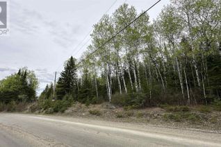 Commercial Land for Sale, Part 1 823 Coker Road, Kenora, ON