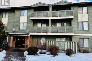 Condo Apartment for Sale, 185 Chamberlain Crescent #317, Tumbler Ridge, BC