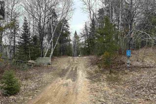 Commercial Land for Sale, Pcl 4549 Tetroe Road, Kenora, ON