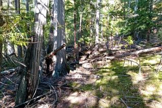 Land for Sale, Lot 372 Aspen Road, Anglemont, BC