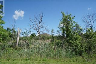 Land for Sale, 26 Shaw Street, Welland, ON