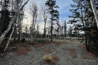 Land for Sale, 0 Badger Lake #Lot 3, Badger, NL