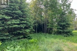 Commercial Land for Sale, 9 Prout St, Bruce Mines, ON