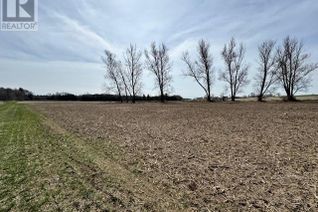 Land for Sale, Pt Lot 2 Peavinery Road, Oakland, ON