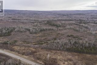 Land for Sale, Old Mulgrave Road, Monastery, NS