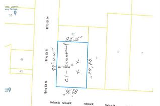 Land for Sale, 46 Erie Street North, Leamington, ON