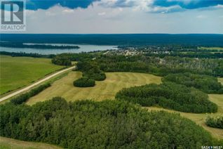 Commercial Land for Sale, Loiselle Land, Beaver River Rm No. 622, SK