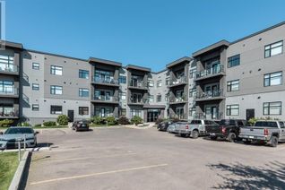 Condo Apartment for Sale, 213 502 Perehudoff Crescent, Saskatoon, SK