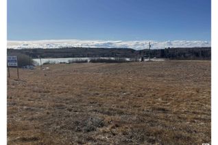 Land for Sale, 4606 49 St, Rural Flagstaff County, AB