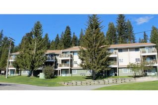Condo Apartment for Sale, 1335 Alpine Drive #208B, Elkford, BC