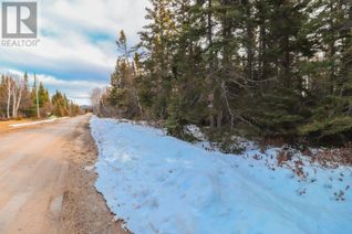 Land for Sale, Lot 67 Kellys Point, Howley, NL
