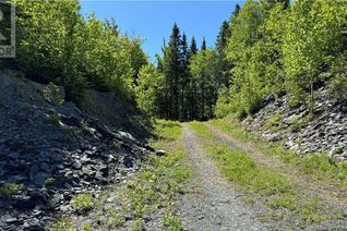 Commercial Land for Sale, 62 De La Falaise Street, Edmundston, NB