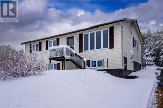 Detached House for Sale, 16 Valleyview Crescent, Conception Bay South, NL