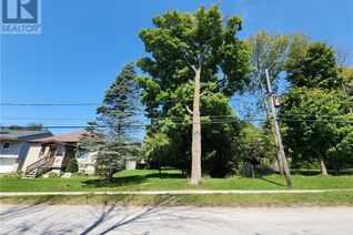 Property for Sale, 160 Division Street, Wiarton, ON