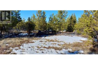 Commercial Land for Sale, Lot 5 Puntzi Airport Road, Williams Lake, BC