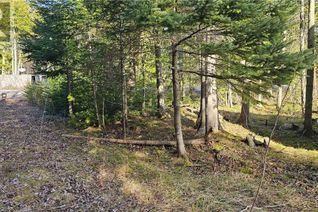 Land for Sale, 20 Murray Avenue, Northern Bruce Peninsula, ON