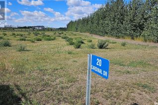 Commercial Land for Sale, 20 Cardinal Drive, Dundurn, SK