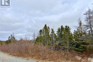 Commercial Land for Sale, Lot 12 Reenies Way, Dildo, NL