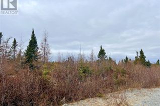 Commercial Land for Sale, Lot 2 Reenies Way, Dildo, NL