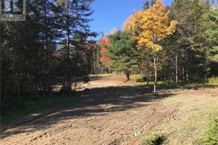 Commercial Land for Sale, 411 Hardwood Road, Mckerrow, ON