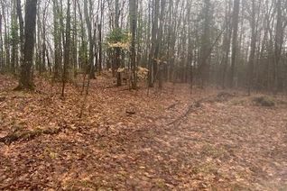 Commercial Land for Sale, 00 Musclow Greenview Road, Hastings Highlands, ON