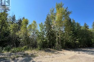 Land for Sale, 7376 Stampede Trail, Anglemont, BC