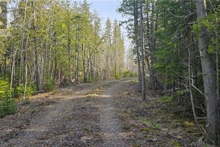 Commercial Land for Sale, 743 Spry Road, Northern Bruce Peninsula, ON