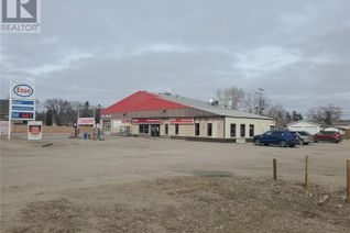 Non-Franchise Business for Sale, 607 Mckenzie Street, Outlook, SK