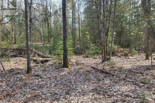 Commercial Land for Sale, Con 3 Lot 5, Gore Bay, ON