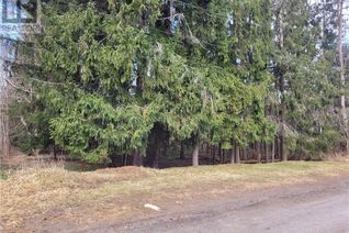 Property for Sale, Pt Lot 9-10 Mcnaughton Street, Wiarton, ON