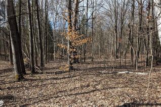 Land for Sale, Lot 2 Tally Ho Winter Park Road, Lake Of Bays, ON