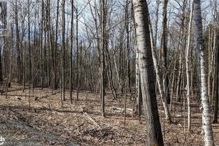 Commercial Land for Sale, Lot 1 Tally Ho Winter Park Road, Lake Of Bays, ON
