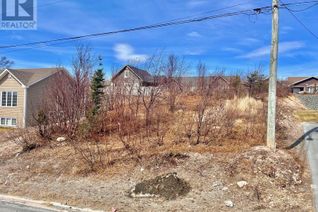 Property for Sale, 25 Bare Mountain Road, CLARENVILLE, NL