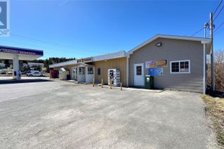 General Commercial Non-Franchise Business for Sale, 113 Main Road, Heart's Content, NL
