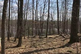 Commercial Land for Sale, 941 Northey's Bay (Next) Road, North Kawartha, ON