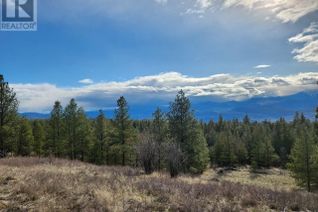 Vacant Residential Land for Sale, 1375 Bullmoose Way, Osoyoos, BC
