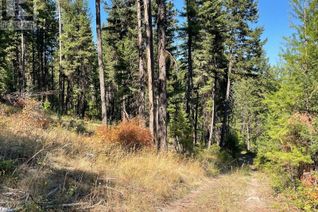 Land for Sale, Hulme Creek Road #Lot 1, Rock Creek, BC