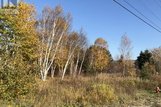 Commercial Land for Sale, 27 Main Street, Pasadena, NL