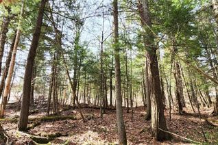 Property for Sale, 0 Skyline Drive, Burk's Falls, ON