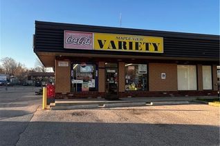 Non-Franchise Business for Sale, 126 Concession Street E Unit# 1, Tillsonburg, ON