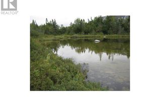 Commercial Land for Sale, 25 Sunset Boulevard, MASSEY DRIVE, NL