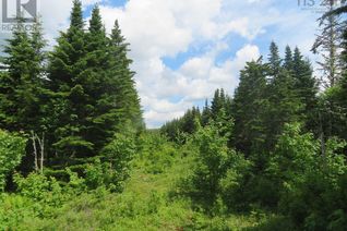 Land for Sale, 11/12 Oceanview Road, French Road, NS