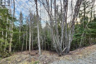 Vacant Residential Land for Sale, Lot 240 Aspen Road, Anglemont, BC