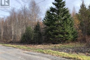 Commercial Land for Sale, Lot 17-1 Green Hill Lake Road, Greenhill, NB