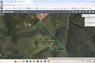 Land for Sale, 0 Harriet O'Ree Road, South Branch, NB