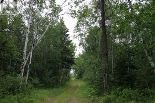 Commercial Land for Sale, Rec Lot 1-Blk 3, Hudson Bay Rm No. 394, SK