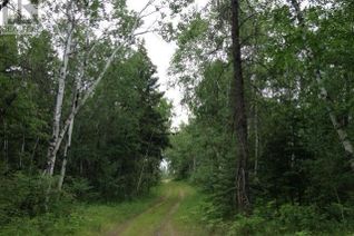 Land for Sale, Rec Lot 3 Blk 3, Hudson Bay Rm No. 394, SK