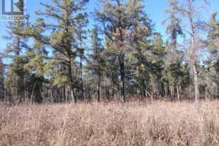 Commercial Land for Sale, Rec Lot 4 Blk 3, Hudson Bay Rm No. 394, SK