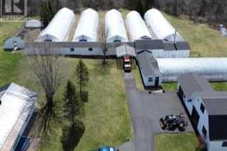 Commercial Farm for Sale, 763 Conrod Road, Middle Musquodoboit, NS